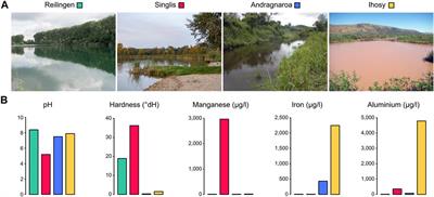 Location-Dependent DNA Methylation Signatures in a Clonal Invasive Crayfish